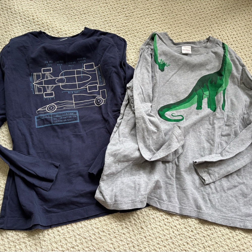 Hanna Andersson Navy Blueprint and Gray Dinosaur Long Sleeve Tees